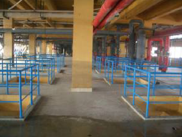 蕭山富麗達集團整體防腐地坪